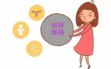 试管婴儿促排卵方案有几种