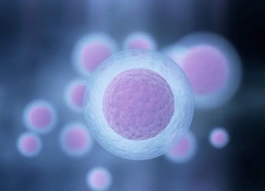 试管前要如何调养？补充哪些营养可以助孕？