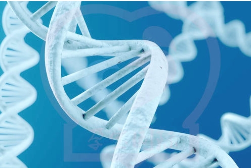 罗氏易位能自然怀孕吗？是不是只能做试管？