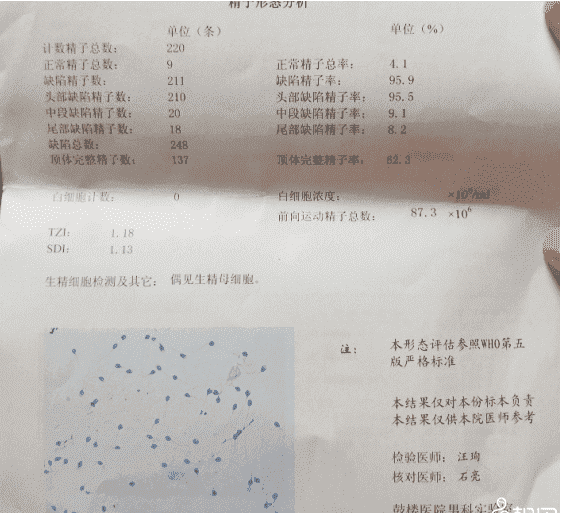 泰国试管婴儿：如何养成好卵子