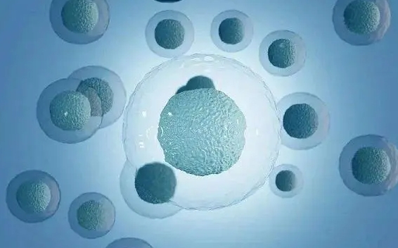 女性做试管婴儿，如何保证她们的健康呢？