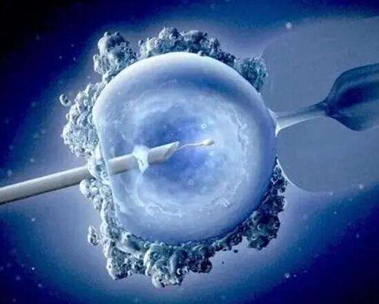 子宫腺肌症吃什么有可能会加重病情？