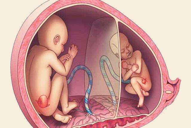 卵巢早衰可以做试管婴儿吗？一般几次成功？