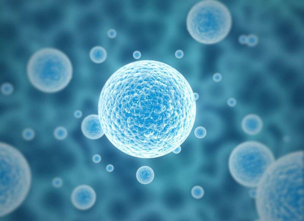 试管婴儿微刺激方案促排后移植时间是多久？