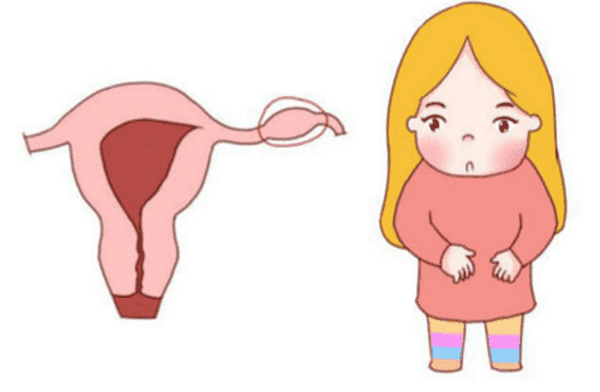 探索泰国试管婴儿服务费用