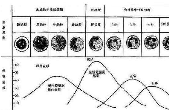 深圳试管助孕机构哪里较好？五家热门机构名单附上