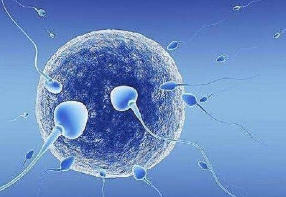 去国外做试管婴儿需要多少钱？海外试管婴儿费用一览