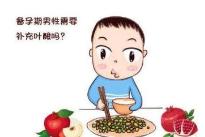 上海三代试管婴儿费用解析及选择建议
