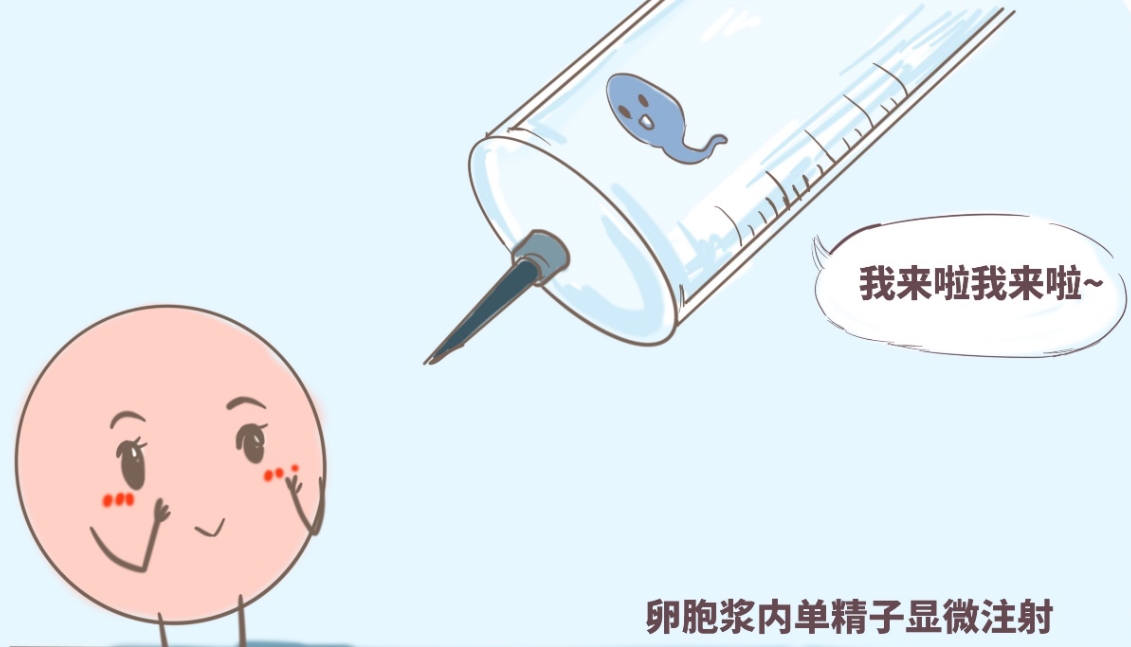 去马来西亚进行试管婴儿手术的途径