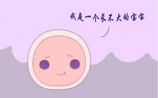 做试管婴儿前先要保养卵巢，做到这关键的五点