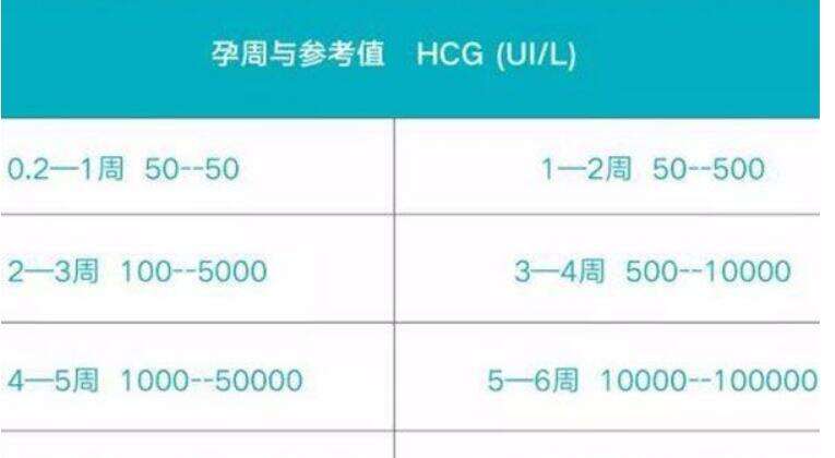 试管婴儿成功后，应该如何避免胎停？