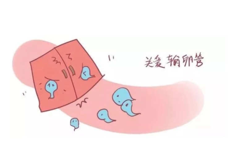 哈萨克斯坦地区试管婴儿技术费用解析