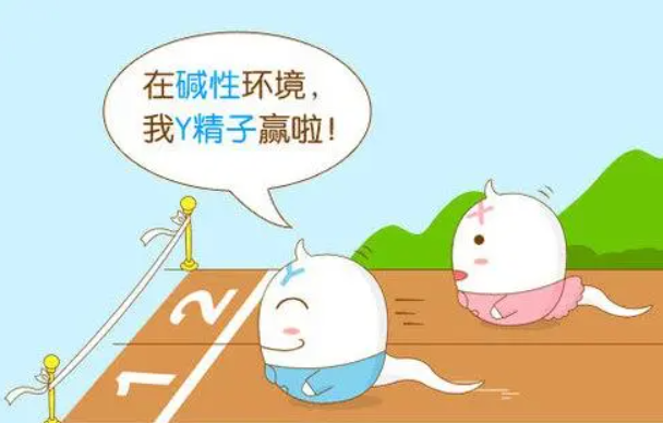 做试管婴儿期间如何改善胚胎质量，这些方法亲测有效