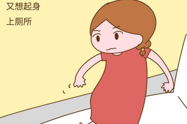 哈萨克斯坦三代试管婴儿费用全解析，从术前体检到胚胎移植的详尽指南
