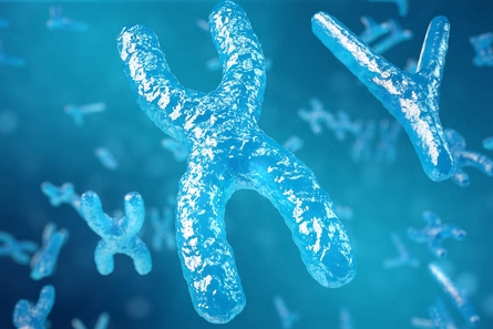 hiv患者去马来西亚做试管的流程参考