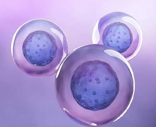 单身可以去哈萨克斯坦做试管婴儿吗？单身做试管的成功率高吗