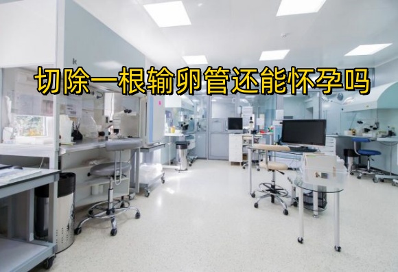哈萨克斯坦的试管怎么样呢？哈萨克斯坦技术优势是什么呢？