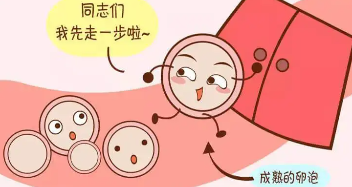 泰国试管婴儿一个助孕周期需要多少钱？有哪些费用